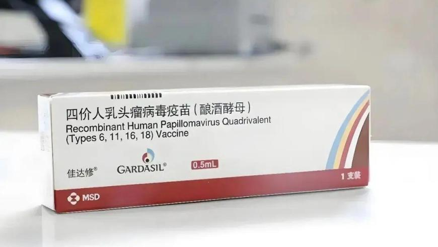 金价暴跌有人囤10公斤黄金被套牢,澳门今期开奖结果号码,经典解释落实_网红版V8.16
