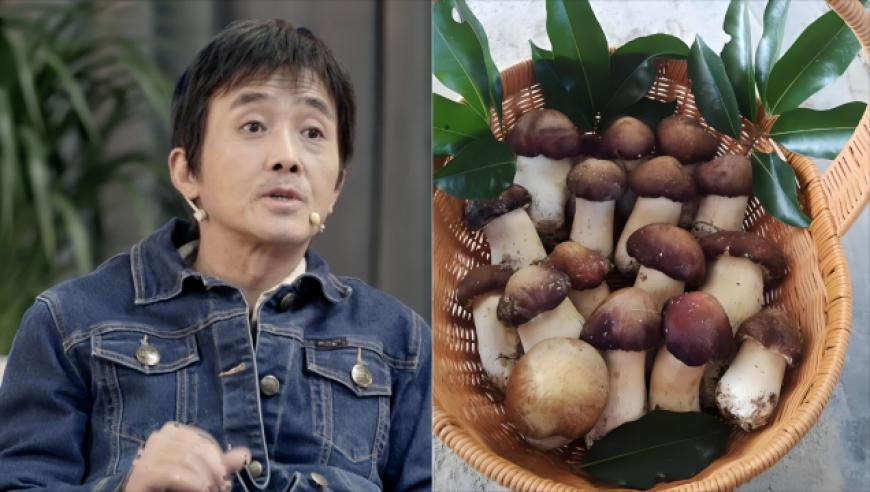 澳门彩网站澳门六彩资料开奖记录,吴镇宇听到演黑帮老大就来劲,重点解答解释落实_潮流版V14.88