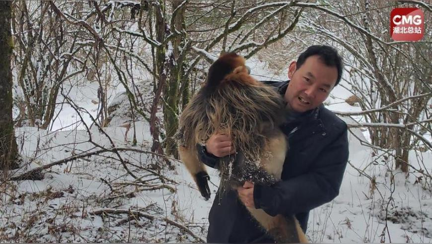 澳门六和开奖结果资料查询,董明珠自曝背后被员工骂,整体规划执行讲解_优选版V3.45