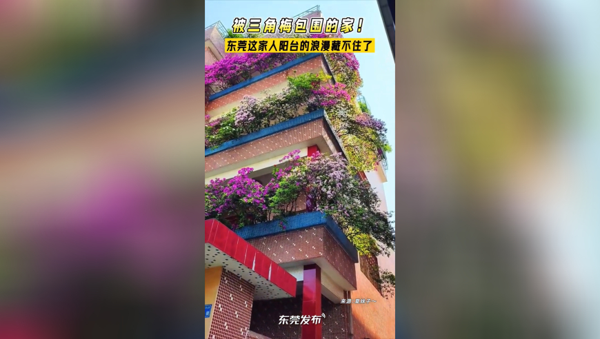 习近平：我是一贯支持民营企业的,澳彩开奖直播在线观看,权威独家讨论与热门话题_模拟版V1.90
