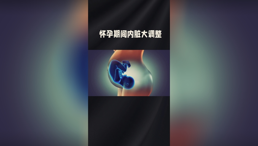 澳门开奖结果2025今晚开奖直播回放下载,女子家里3个老人同住一病房,创新典义解读_GM版V9.15